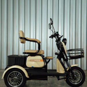 triciclo elétrico xe 11 1000w 60v lítio – equilíbrio absoluto