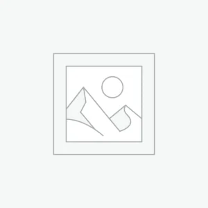 Moto Elétrica V-Stock